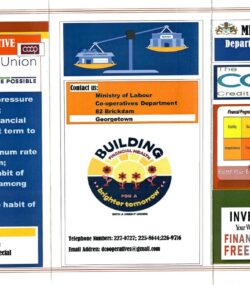 AGRICULTURAL COOPERATIVES